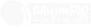 Bilişim 500